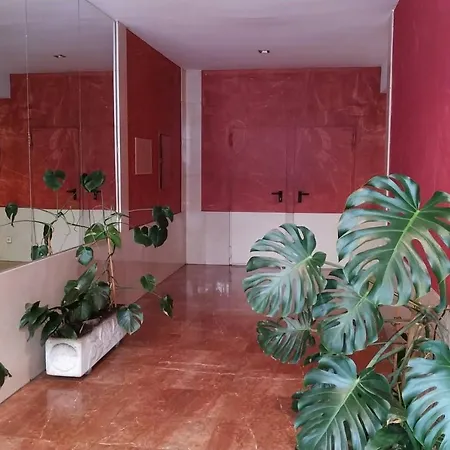 Apartamento Centrico En - No Wifi - Parking Privado * Monforte De Lemos